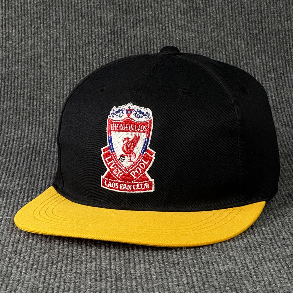 HP-005 : หมวก Liver pool